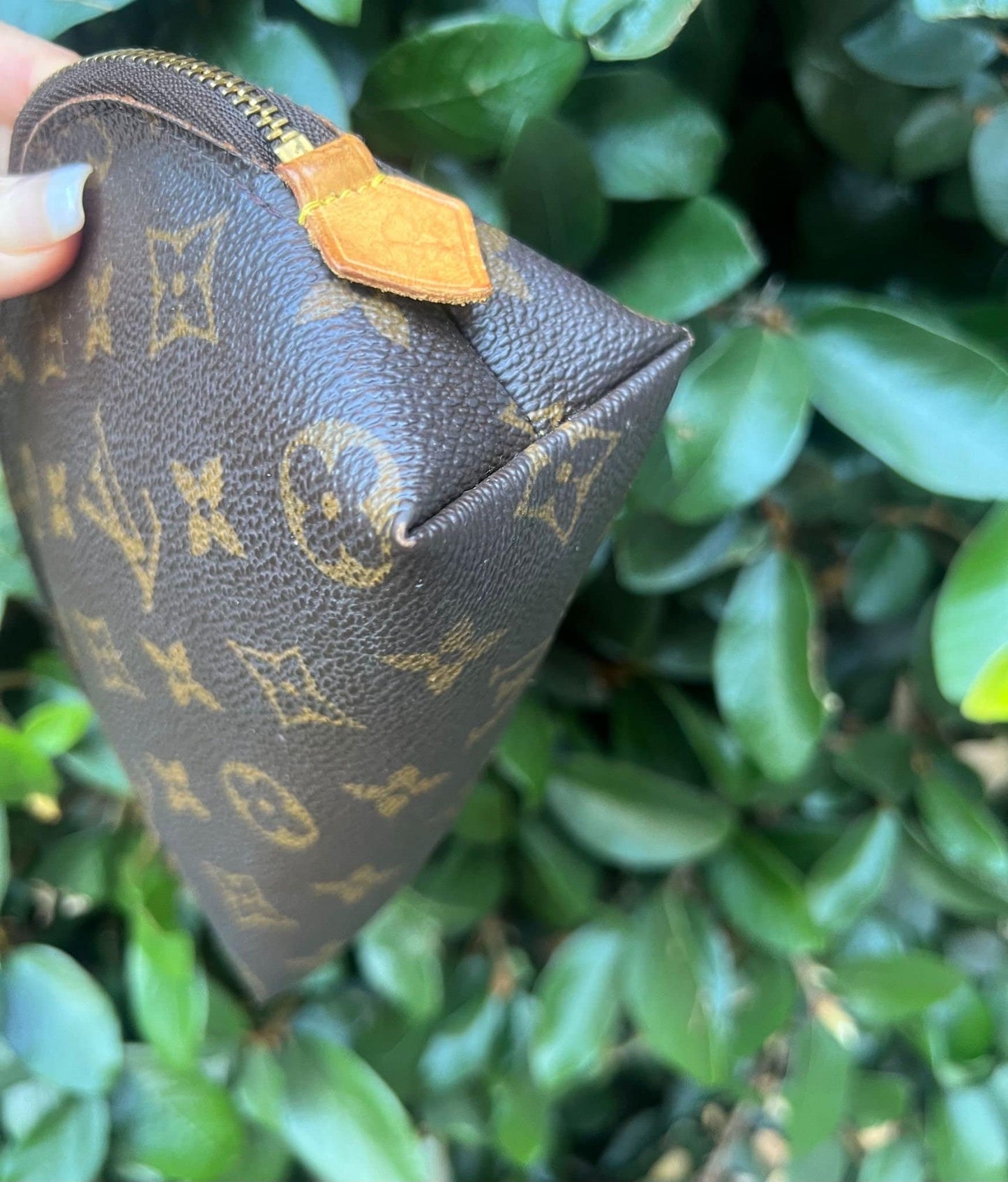LOUIS VUITTON Cosmetic Clutch