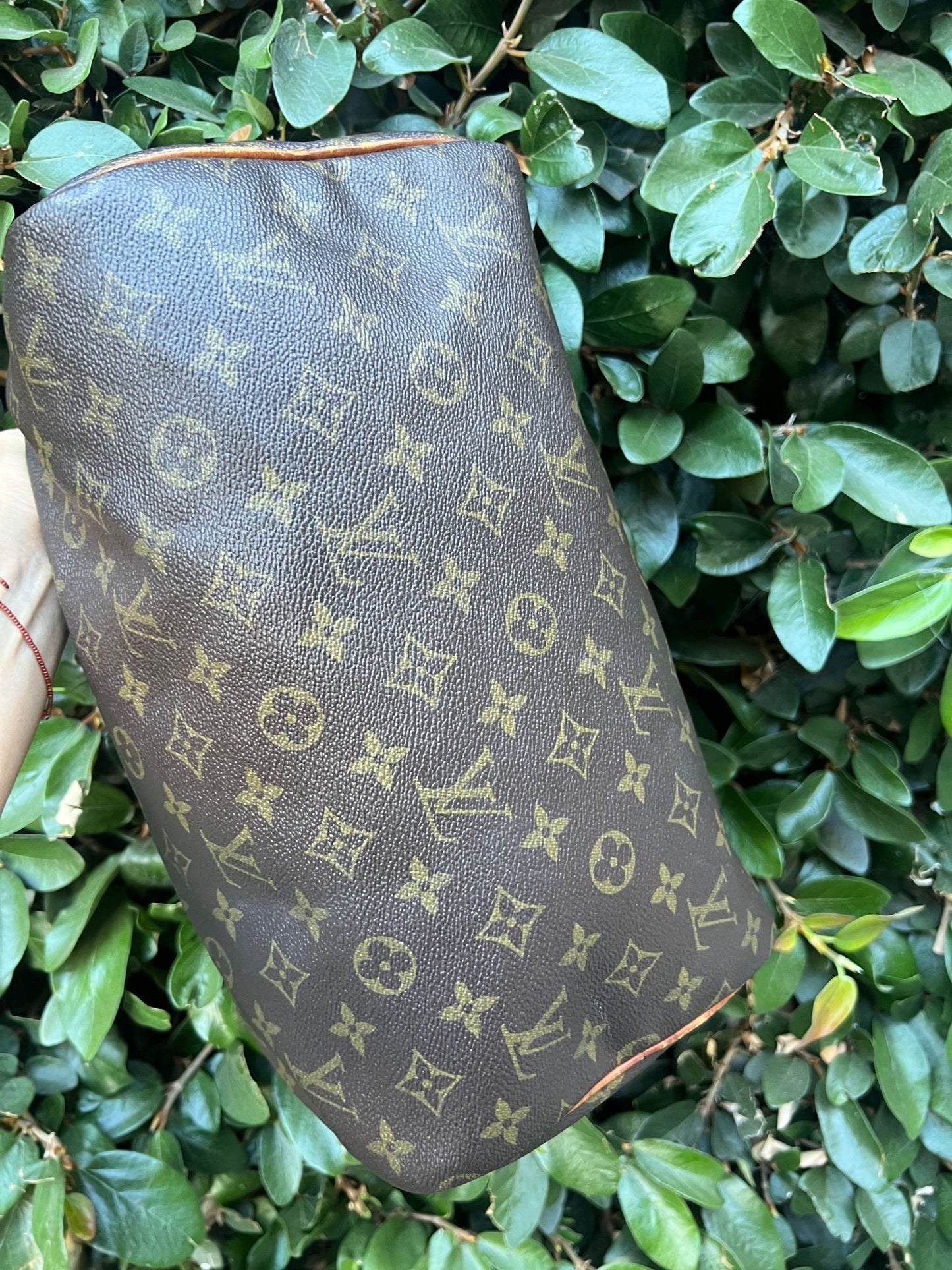 LOUIS VUITTON Speedy 30 Handbag