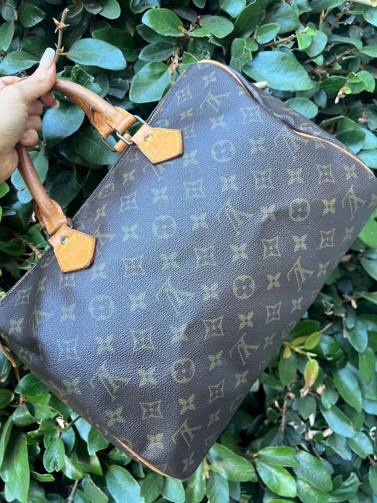LOUIS VUITTON Speedy 30 Handbag
