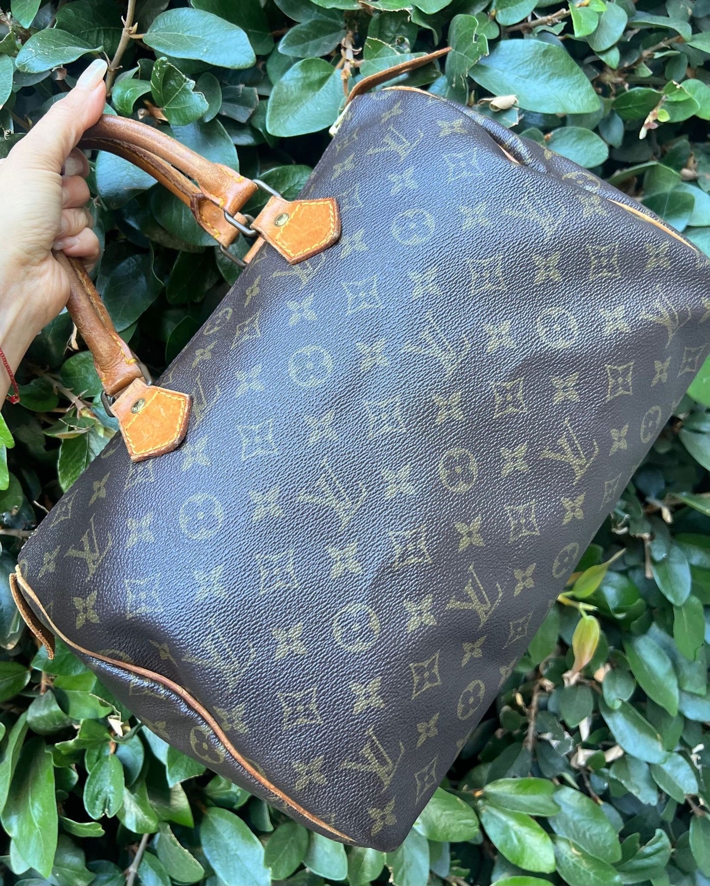 LOUIS VUITTON Speedy 30 Handbag