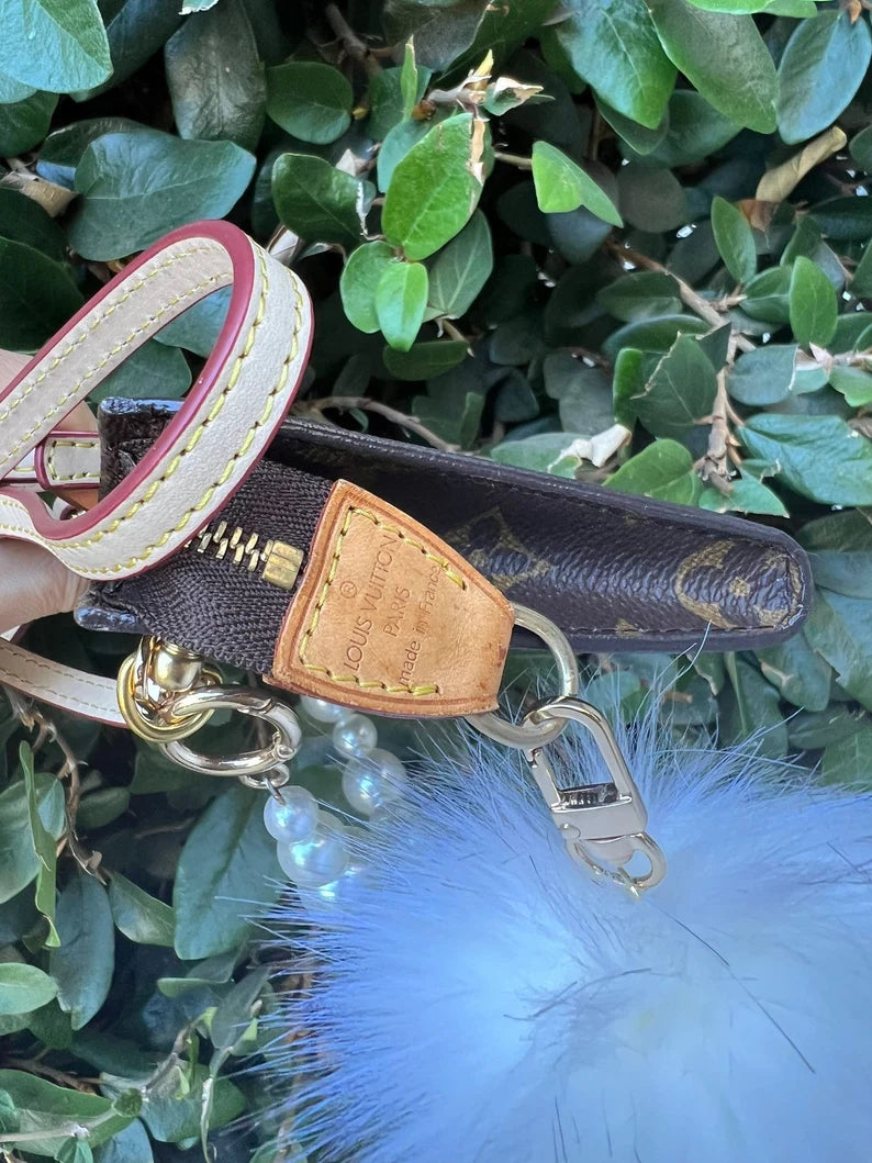 LOUIS VUITTON POUCH + Complimentary Accessories